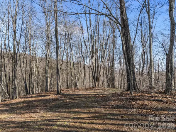 9999 Hidden Cove RD, Leicester, NC 28748