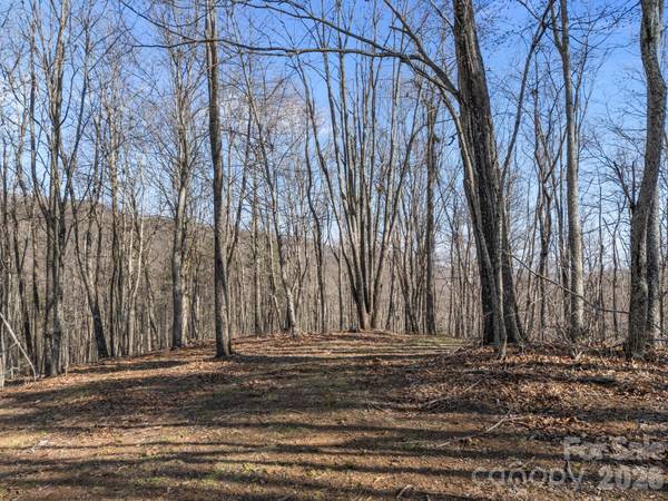 9999 Hidden Cove RD, Leicester, NC 28748