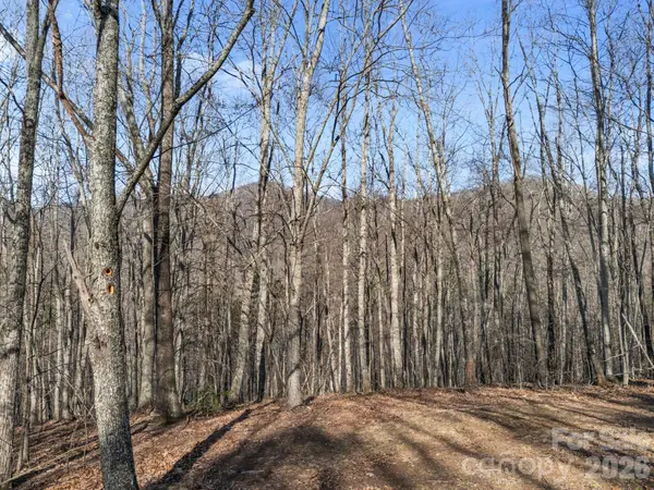 9999 Hidden Cove RD, Leicester, NC 28748