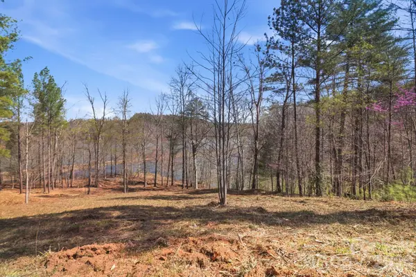 193 Table Rock TRCE NW #129, Valdese, NC 28690
