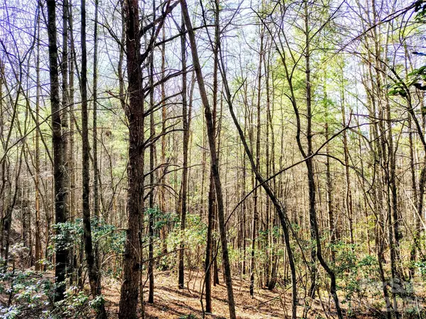 10 Acres Tahoe TRL, Collettsville, NC 28611
