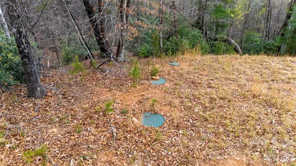 0000 High Trail DR, Nebo, NC 28761