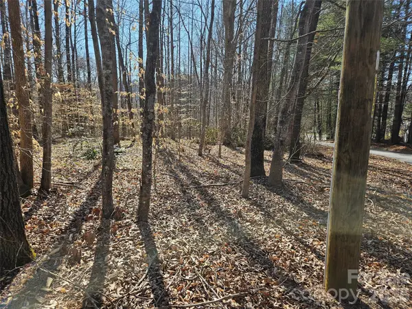 0 General Griffith CIR #37, Rutherfordton, NC 28139