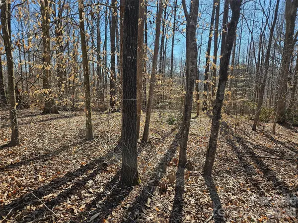 0 General Griffith CIR #37, Rutherfordton, NC 28139