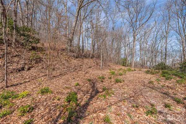 00 Autumn DR, Maggie Valley, NC 28751
