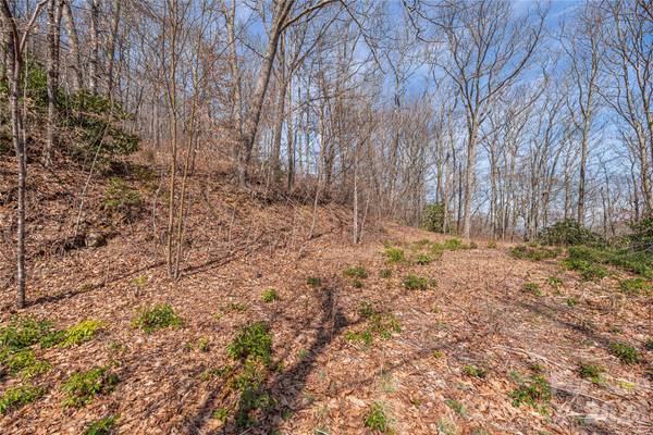 00 Autumn DR, Maggie Valley, NC 28751