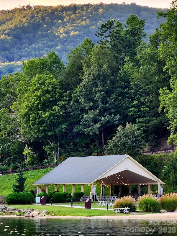 225 Sheepnose DR, Lake Lure, NC 28746