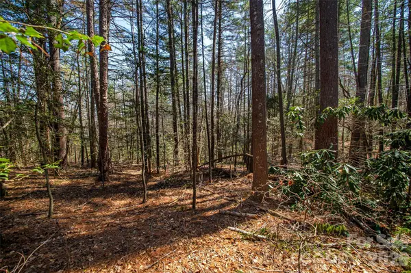 000 Camptown RD, Brevard, NC 28712