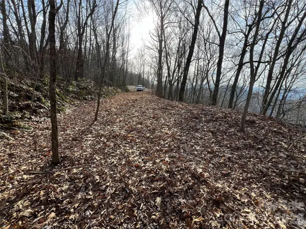Lot 24/26 Butterfly PATH, Bryson City, NC 28713