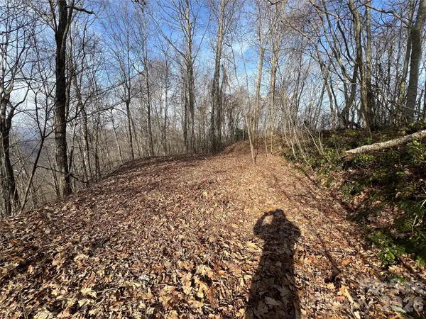 Lot 24/26 Butterfly PATH, Bryson City, NC 28713
