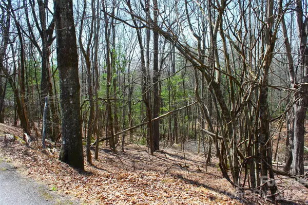 0000 Slick Rock RD, Brevard, NC 28712
