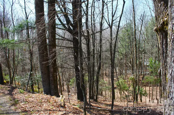 0000 Slick Rock RD, Brevard, NC 28712