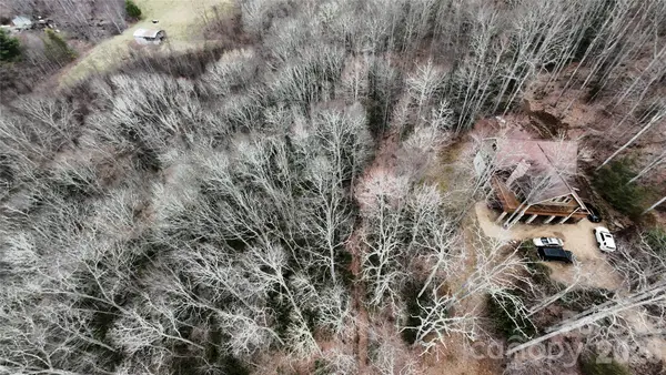 TBD Vineyards Retreat RD #14, Newland, NC 28657