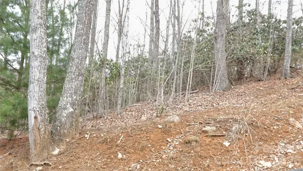 TBD Vineyards Retreat RD #14, Newland, NC 28657