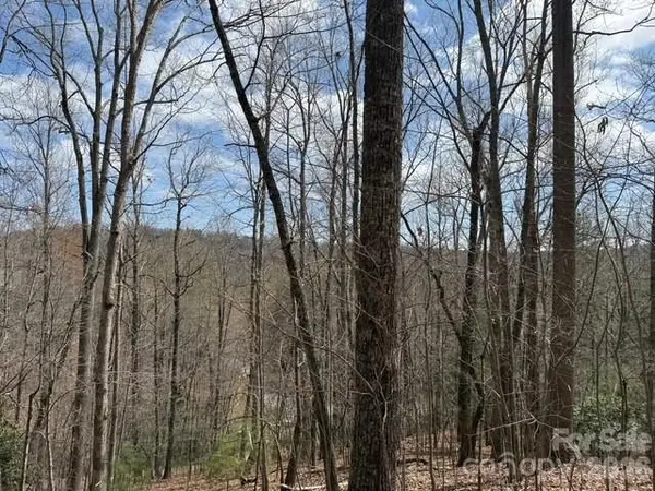 158 Chattooga RUN #402, Hendersonville, NC 28739