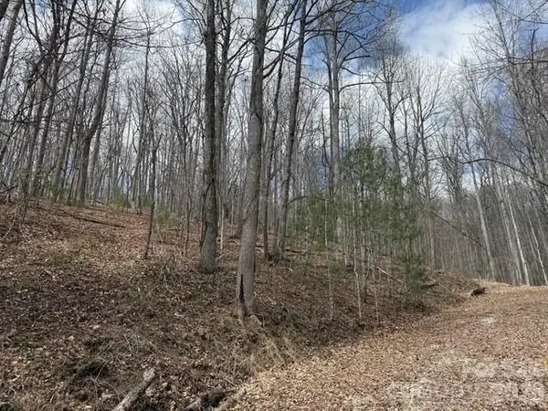 158 Chattooga RUN #402, Hendersonville, NC 28739