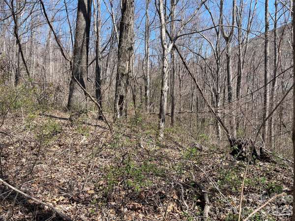 182 Old Mountain PASS, Hendersonville, NC 28792