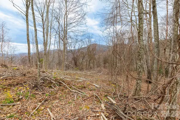 11 Chandra LN, Clyde, NC 28721