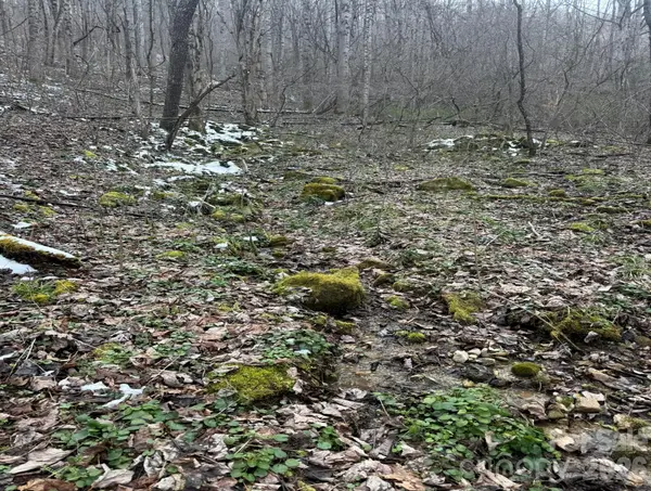 TBD 1.21 Acres Jass Cove RD, Marshall, NC 28753