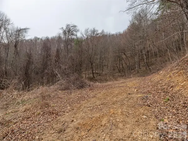 000 Sigogglin RD #17, Waynesville, NC 28786