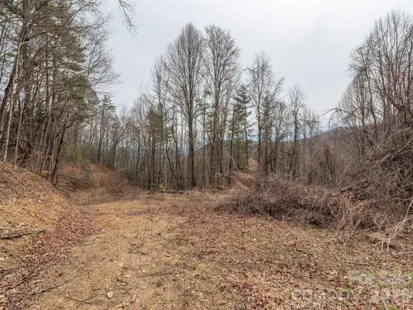 000 Sigogglin RD #17, Waynesville, NC 28786