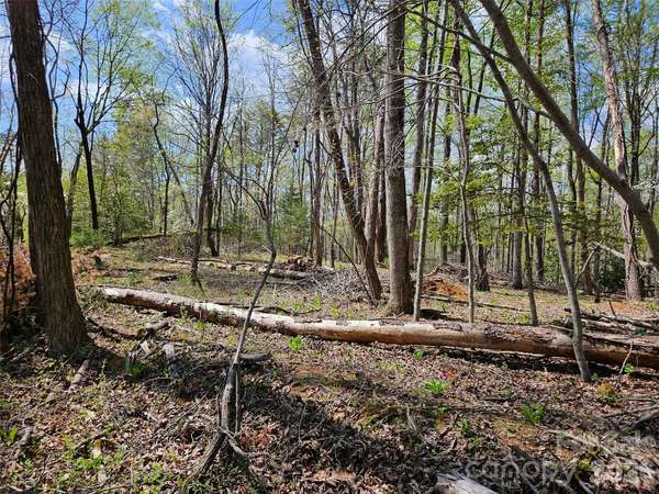 0 Whitney BLVD #57, Lake Lure, NC 28746