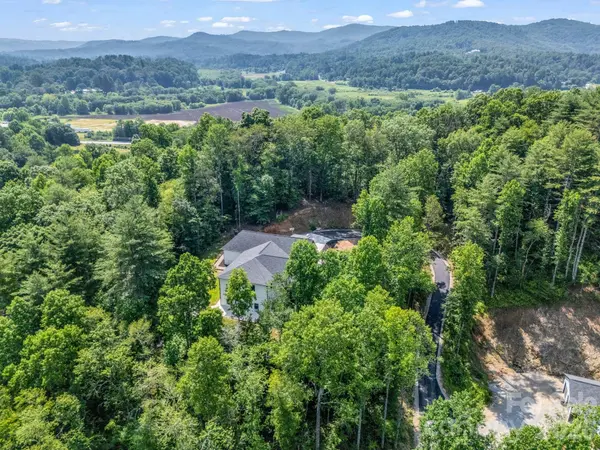 5717 Turnpike RD, Horse Shoe, NC 28742
