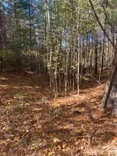 436 Sunset Point Pkwy #39, Nebo, NC 28761