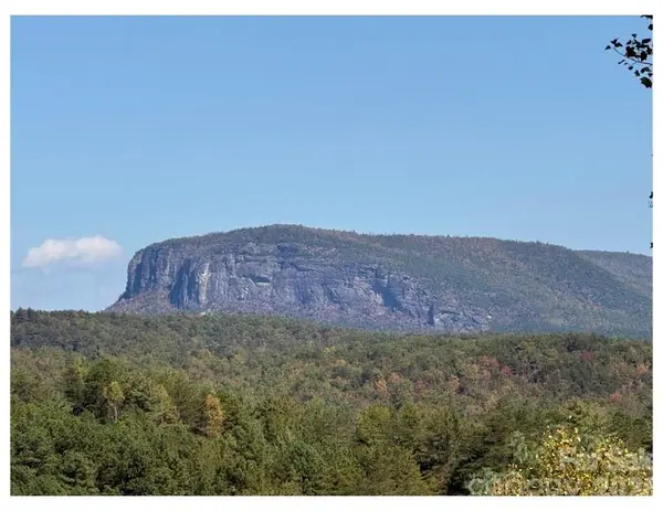 Lot #4 Pisgah Preserve DR, Nebo, NC 28761