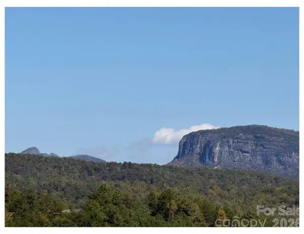 Lot #4 Pisgah Preserve DR, Nebo, NC 28761