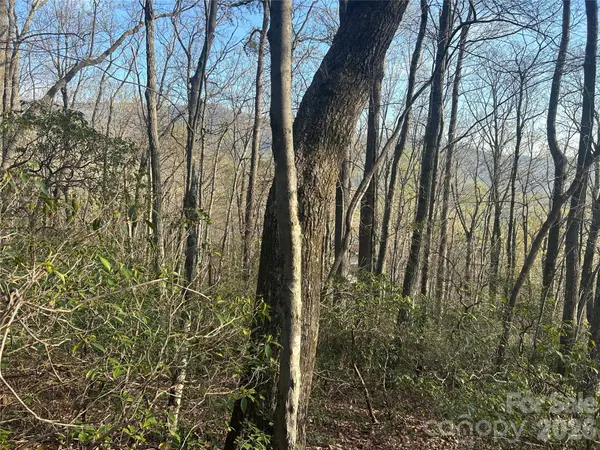 Lot 301 Cardinal RD #301, Lake Lure, NC 28746