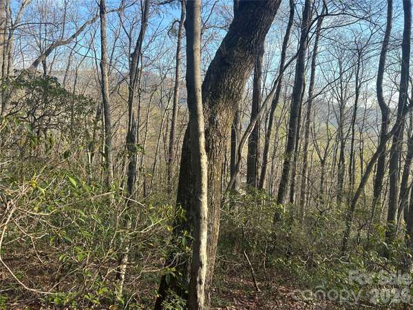 Lot 301 Cardinal RD #301, Lake Lure, NC 28746