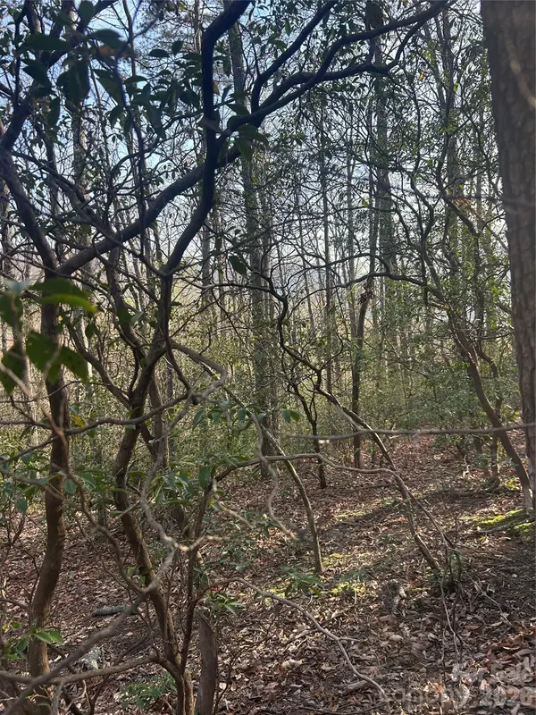 Lot 301 Cardinal RD #301, Lake Lure, NC 28746