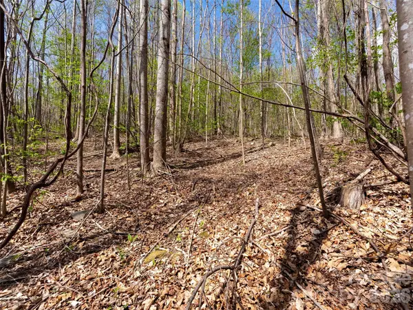 Lot 196 Cherry HL #196, Mill Spring, NC 28756