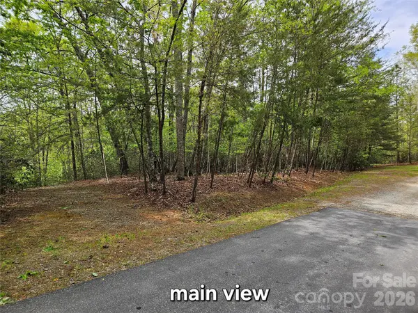 81 N Mill Ridge RD, Nebo, NC 28761