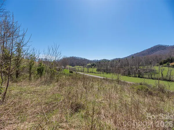 00 Worley Cove RD, Marshall, NC 28753
