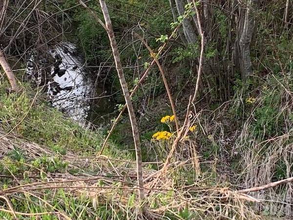 7.33AC COM CHIMNEY ROCK HWY #1,2,3, Edneyville, NC 28792