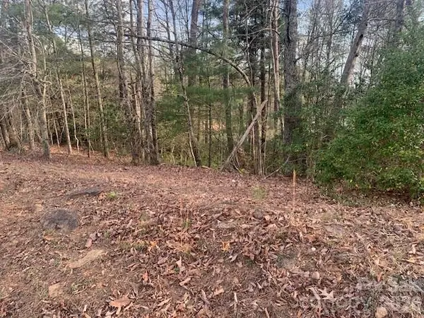 1.0AC HOLBERT COVE RD #2, Saluda, NC 28773