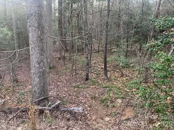 7.67 AC. HOLBERT COVE RD #7.67 AC., Saluda, NC 28773
