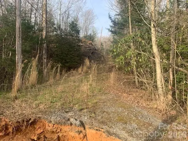 7.67 AC. HOLBERT COVE RD #7.67 AC., Saluda, NC 28773