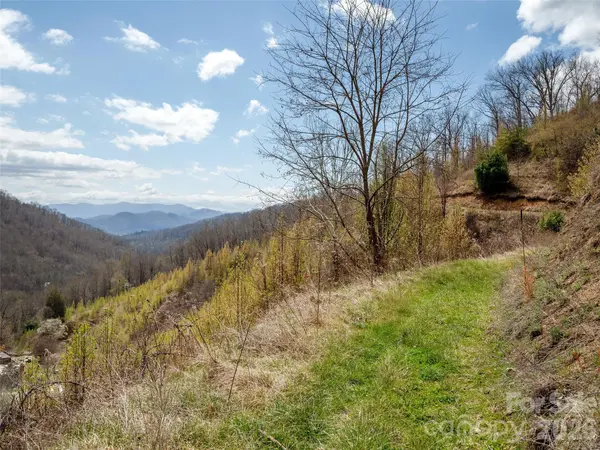 TBD Wilson Cove RD, Canton, NC 28716