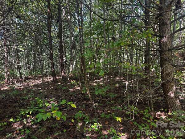 0 Clear Creek TRL, Lake Lure, NC 28746