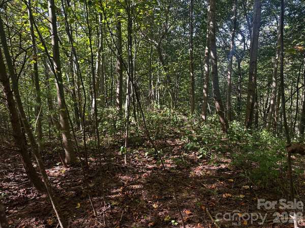 0 Clear Creek TRL, Lake Lure, NC 28746