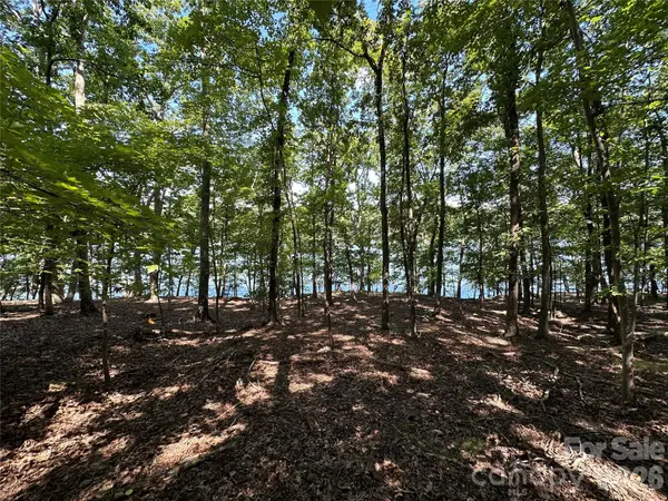 1768 Rocky Cove LN, Denton, NC 27239