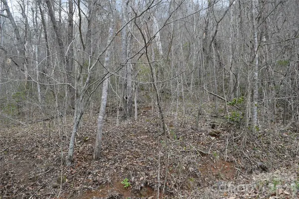TBD Bel Air RD #18-19, 21, 23,27-28,31-33, Cullowhee, NC 28723