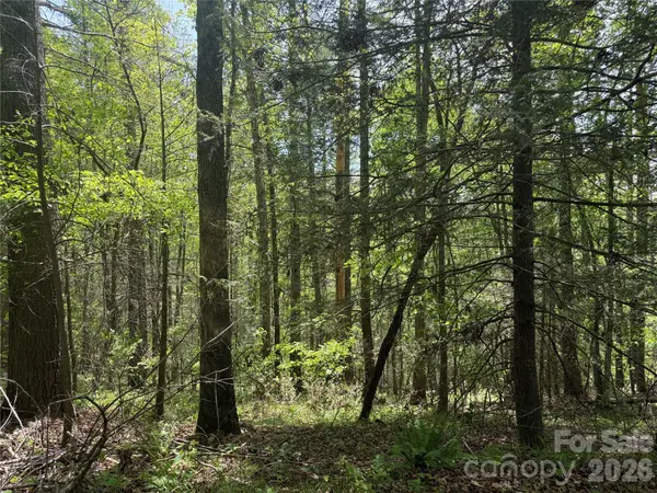242 area Radford RD #3, Mars Hill, NC 28754