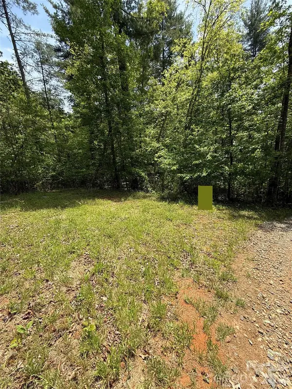242 area Radford RD #3, Mars Hill, NC 28754