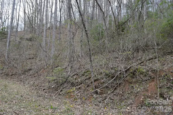 TBD Bel Air RD #20, Cullowhee, NC 28723