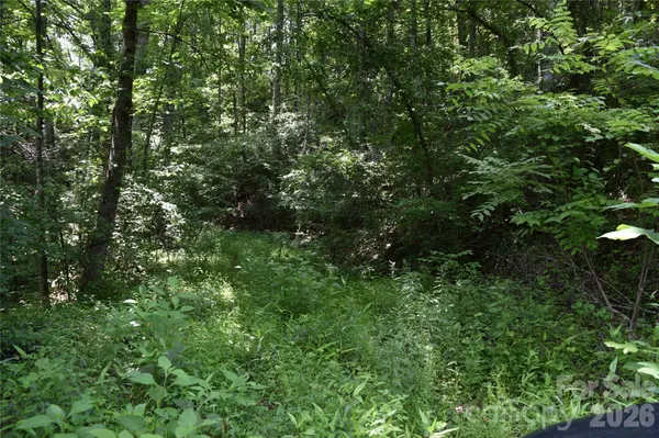 TBD Bel Air RD #20, Cullowhee, NC 28723