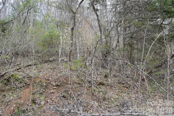 TBD Bel Air RD #20, Cullowhee, NC 28723